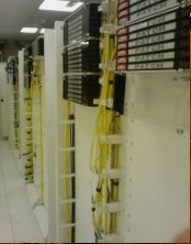 Fibre