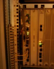 Fibre